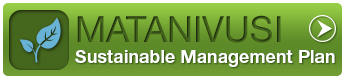 sustainable stoke logo