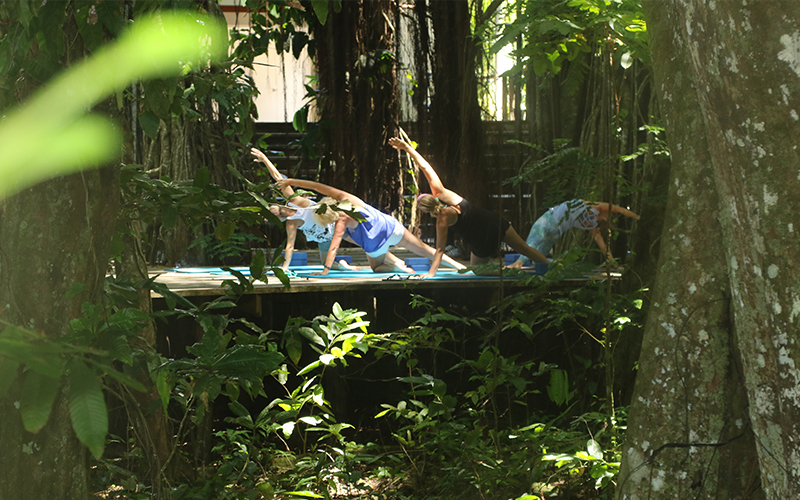 Yoga Retreat In Fiji